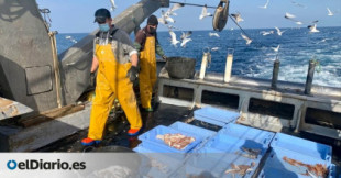 España debe prohibir la pesca industrial en más zonas del Mediterráneo ante el riesgo de colapso de especies