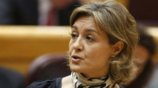 Iberdrola nombra consejera a la ex ministra del PP García Tejerina