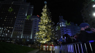 Los 'corta cables' sabotean el alumbrado navideño en Madrid con el pretexto de la pobreza energética