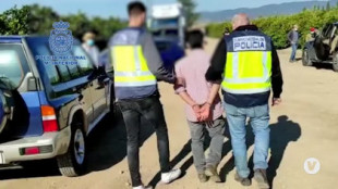 Siete detenidos por explotar en fincas a extranjeros irregulares en Sevilla y Córdoba