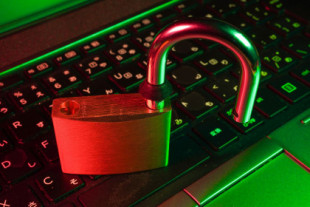 441.000 cuentas robadas con el “malware” RedLine Stealer han sido expuestas públicamente en Internet
