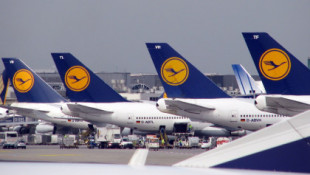 Lufthansa, obligada a volar 18,000 vuelos vacíos durante el invierno
