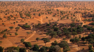 Cómo se descubrió un bosque tan grande como la Península Ibérica en el desierto del Sáhara