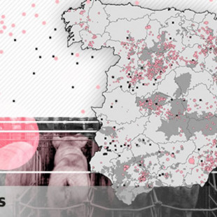 Los datos que demuestran que las macrogranjas han llevado a España fuera de la legalidad ambiental