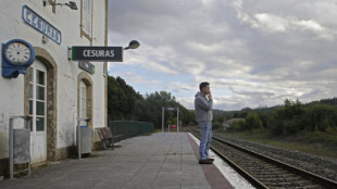 El Gobierno ve «inviable» el tren como medio de transporte en la España vacía