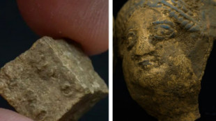 Juegos romanos y maquillaje descubiertos en un rico pueblo romano en Northamptonshire durante la construcción de HS2 [ENG]