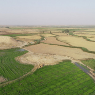 Un descubrimiento de la antigua Mesopotamia transforma el conocimiento de la agricultura temprana (ENG)