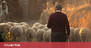 Ganaderos de Sevilla piden en una carta a Garzón un etiquetado para diferenciar la carne de ganadería extensiva