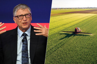 100.000 hectáreas y sumando: Bill Gates está levantando el mayor imperio agrícola de Estados Unidos
