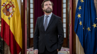 Vox recomienda a Casado "no exagerar" las críticas al Gobierno en el extranjero para no deteriorar la imagen de España
