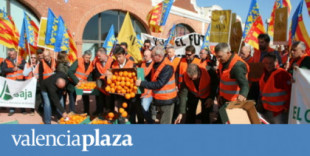 Agricultores valencianos regalan la naranja mientras lobbies del norte de Europa exigen trato de favor a los cítricos sudafricanos