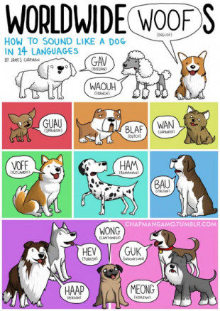 Qué sonidos hacen los animales en otras lenguas