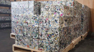 Fabrican ladrillos de plástico reciclado: son más resistentes y ecológicos