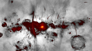 Una nueva imagen de la Vía Láctea revela cientos de misteriosas estructuras cerca del centro de la galaxia