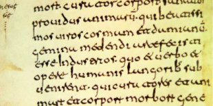 ¿Es cierto que los vascos crearon la lengua castellana?