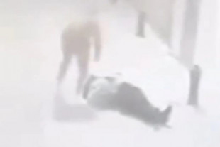 El vídeo del atraco y el brutal puñetazo que causó la muerte al exconcejal de Granada