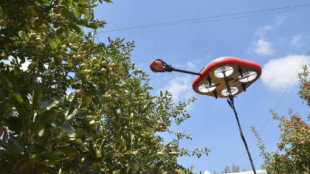 Drones cosechan manzanas