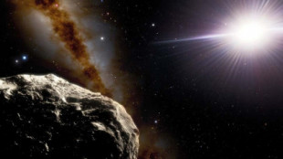 Los astrónomos confirman un segundo asteroide troyano merodeando en la órbita de la Tierra