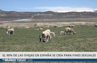 La jueza de la sentencia del euskera 'amenazó' a El Mundo Today por un chiste sobre pastores y ovejas