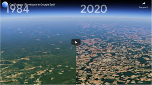 Impactante vídeo: la deforestación del planeta vista desde el espacio