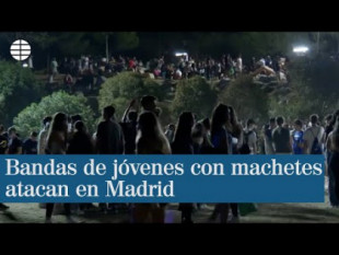 Uno de los dos Dominicans Don't Play detenidos el sábado por matar a un joven en Usera fue uno de los 37 arrestados por prostituir a menores en Madrid