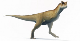 Nueva especie de dinosaurio sin brazos descubierta en Argentina (ENG)