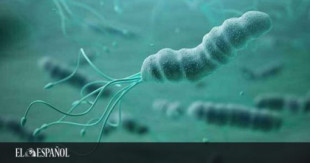 'Helicobacter pylori': la peligrosa bacteria que infecta a media España y eleva el riesgo de cáncer
