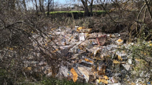 La basura sepulta el cauce del río Guadarrama, en pleno espacio protegido de la Comunidad de Madrid