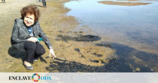 La Comisión Europea califica de "gran desastre" el estado del Mar Menor: al día sacan 7 toneladas de algas