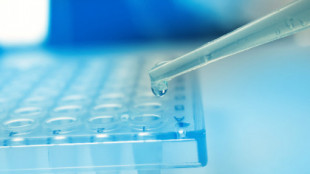 Crean nuevo tratamiento contra el cáncer basado en CRISPR