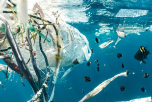 Estamos dedicando grandes esfuerzos a limpiar las "islas de plástico" de los océanos. Quizás no resulte tan buena idea