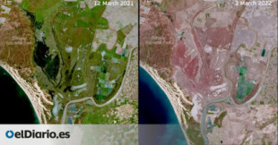 Del verde al rojo: las imágenes por satélite certifican de manera drástica la alarmante sequía que ya sufre Doñana