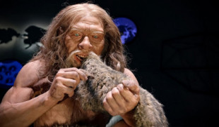 Los últimos neandertales vivieron en la península ibérica