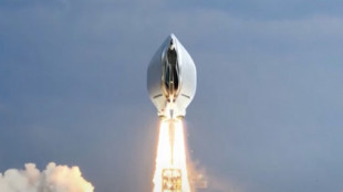 Hay una petición para lanzar una nave espacial con forma de vulva