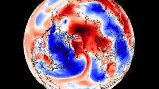 Un evento de transporte de masas de aire inusual ha subido la temperatura del Ártico 30 grados por encima de lo normal [ENG]