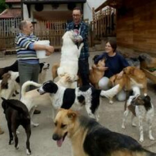 El voluntario que desafia a la muerte en Kiev para salvar 400 animales