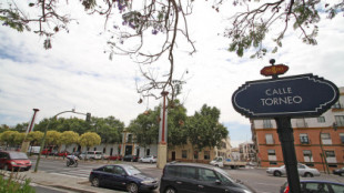 Detenido el autor de la violación a una mujer en el centro de Sevilla