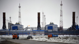 Putin: Hemos tomado la decisión de que los pagos por el suministro de gas a Europa se hagan en rublos