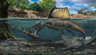 Así logró cazar bajo el agua el ‘Spinosaurus’, el dinosaurio carnívoro más grande del mundo