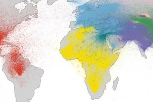 27 millones de antepasados y miles de generaciones: el mayor árbol genealógico de la historia humana