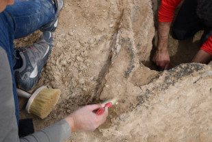 Arqueólogos recuperan un barco de hace 4.000 años cerca de la antigua ciudad de Uruk