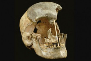 El genoma más antiguo de un europeo desvela sexo continuo con los neandertales