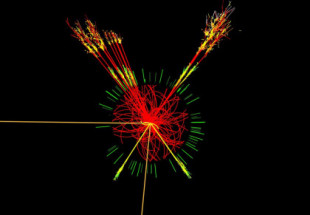 Un acelerador de partículas atisba “un nuevo mecanismo de la naturaleza”