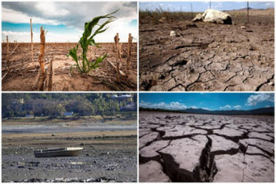 Sequía afecta severamente casi todo el territorio nacional de México