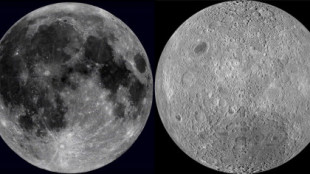Las diferencias entre las caras visible y oculta de la Luna están vinculadas a un antiguo impacto colosal