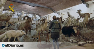 Ros Casares, la familia de empresarios morosos con un almacén de animales disecados valorados en 29 millones