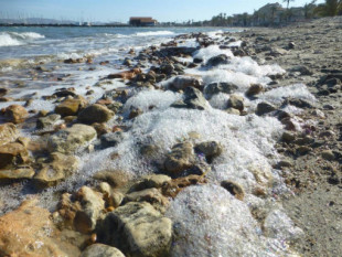 El IEO confirma el riesgo de nueva anoxia por eutrofización en el Mar Menor