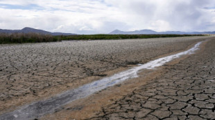 El sur de California toma medidas excepcionales para hacer frente a la sequía