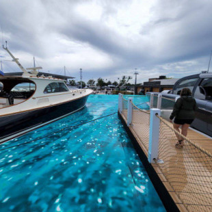 La surrealista decisión en el GP de Miami: 'pintan' el agua en su puerto artificial para ver la F1