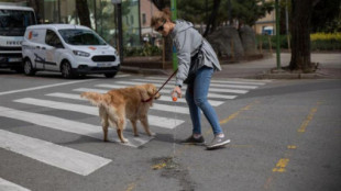 Las meadas de perro en la calle, una mancha que no se va